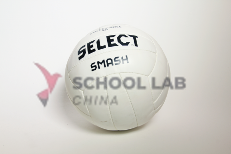 Volleyball,professional model